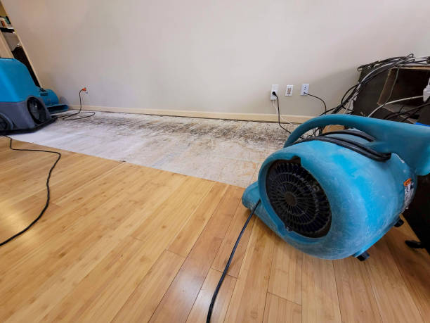 Professional Sewage Cleanup technician working in Bidwell, OH